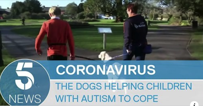 Dogs for Autism on Channel 5 News