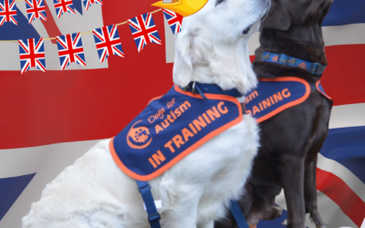 ‘Walk a Platinum Mile’ for Jubilee Weekend