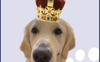 The Coronation Pup