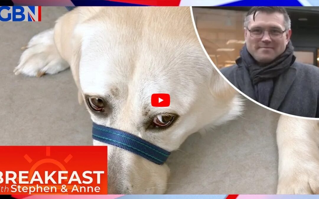 Dogs for Autism on GB news