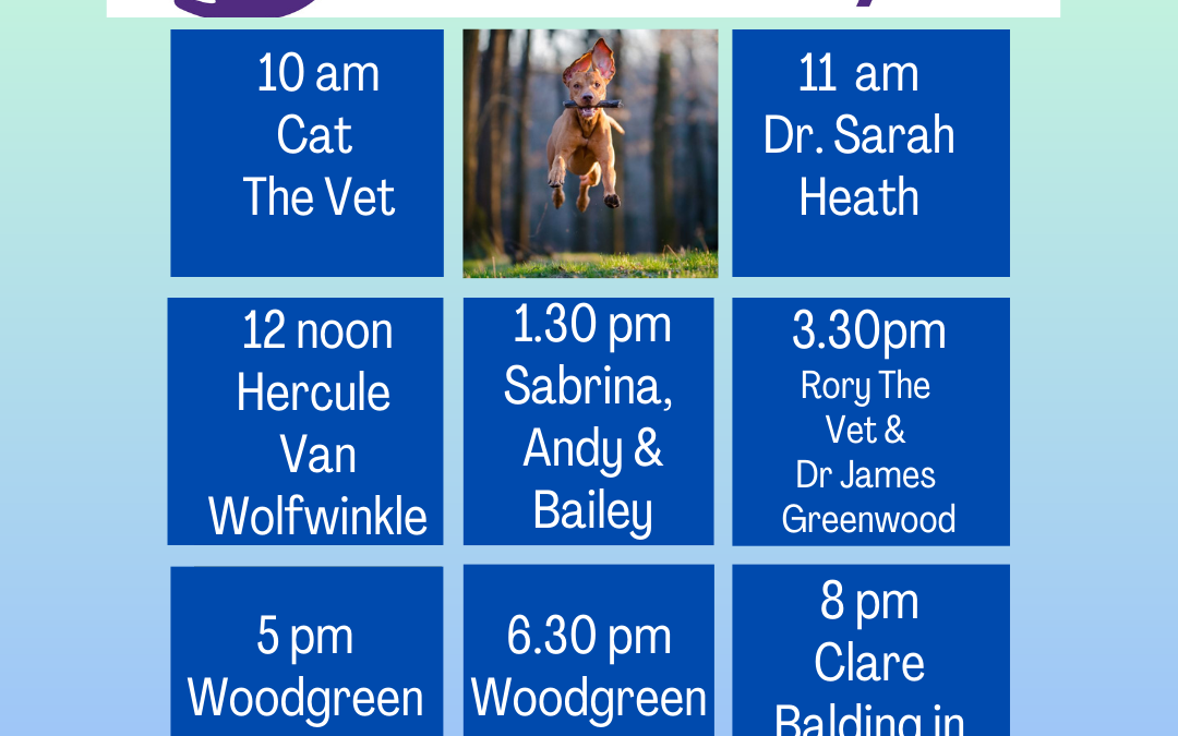 National Human-Animal Awareness Day