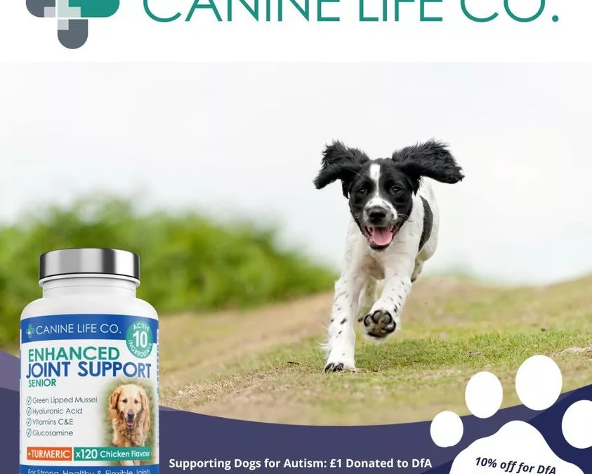 Canine Life Co. Partnership and Support for Dogs for Autism. 