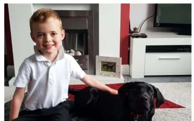 1,000,000 Steps for Dogs for Autism!