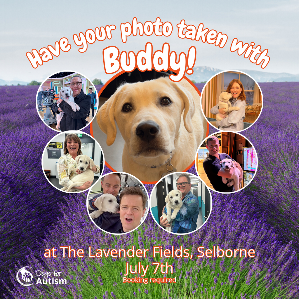 Buddy at Lavender Fields