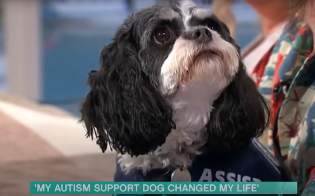 Peter and Coco on ITV This Morning