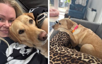 Polly isn’t just a dog; she’s my lifeline, my anchor, and my key to a more independent future