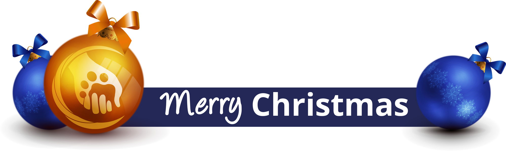 DfA Merry Christmas Banner