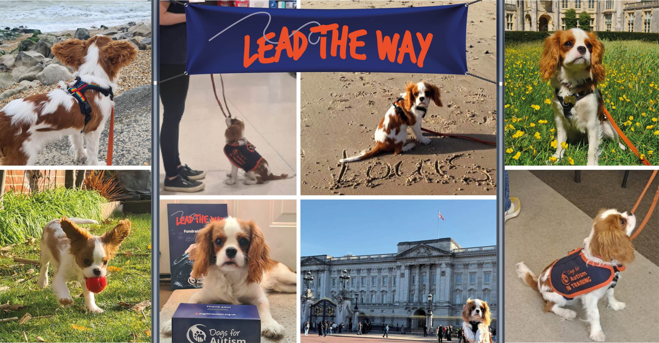 Louis Training Journey