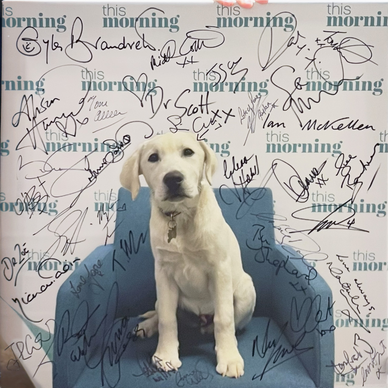 Buddy Canvas with 40 celebrity autographs