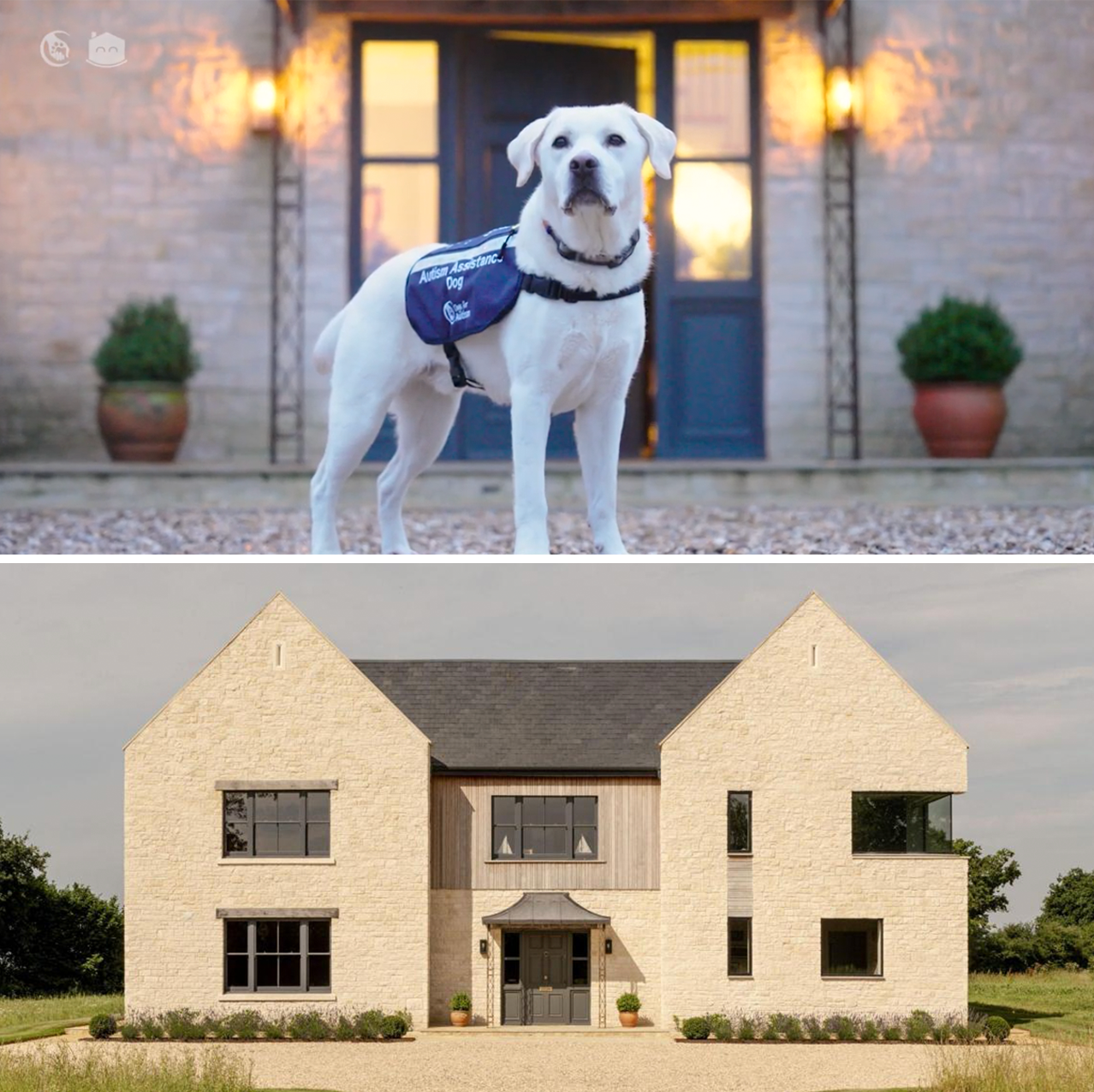 Raffle House and Dogs for Autism at Shrewsbury House