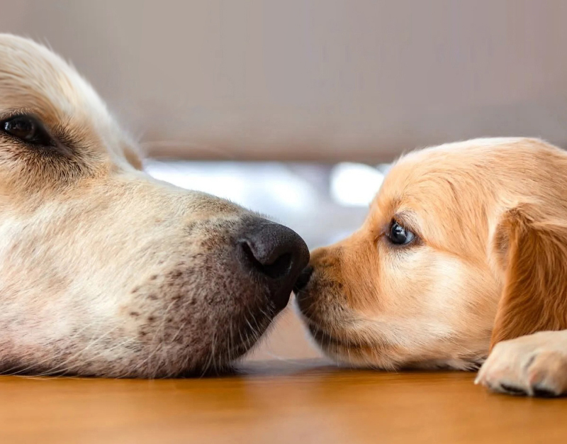 Leaving a gift in your will