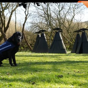 Philip Jackson Open Gardens