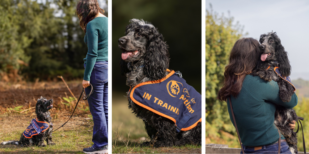 Raffi autism assistance dog